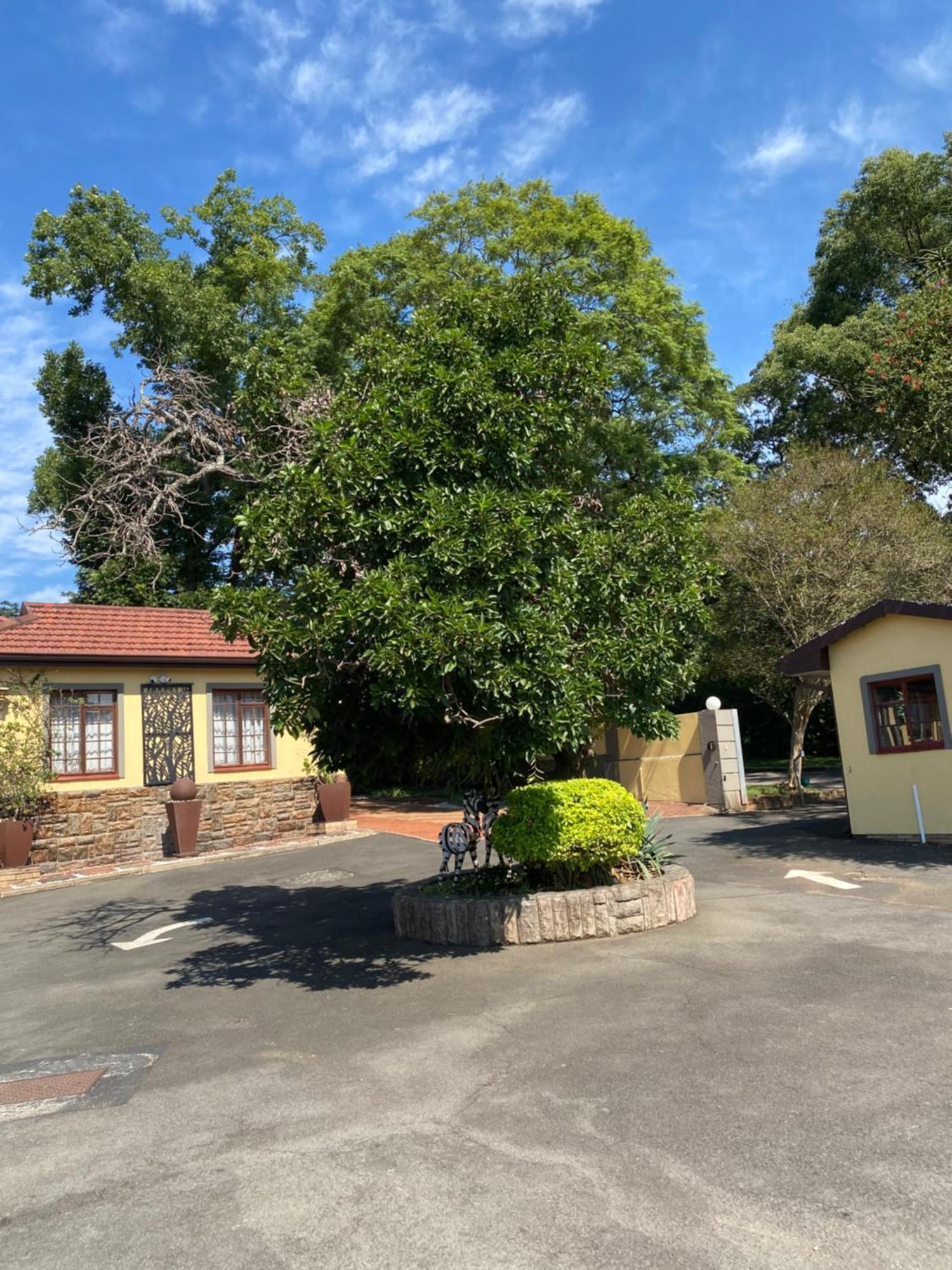 פיטרמריצברג Madlula'S Guesthouse מראה חיצוני תמונה